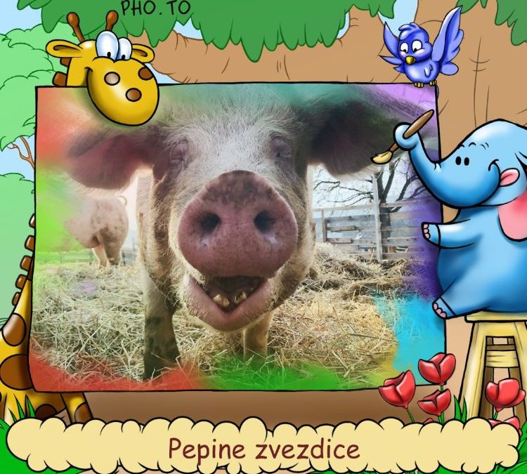 Introductory Words-Pepa´s horoscope (The year of a pig 2019)